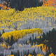 Illustration for article titled 76 Stunning Photos Of Fall Leaves